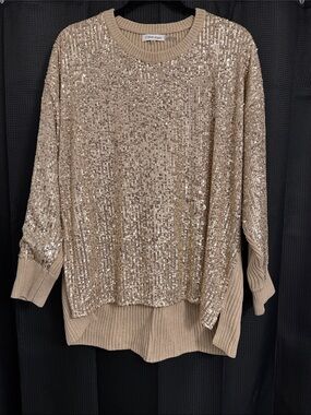 Calvin Klein WMN’s Taupe Sequin Sweater w/side slits hgh/low NWT Sz XL